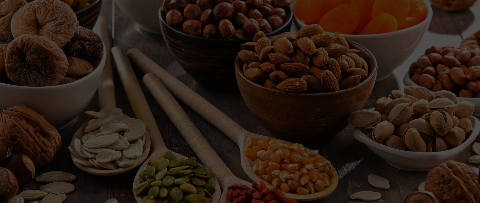 Futurelife-home2-slideshow